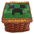 Mine Craft